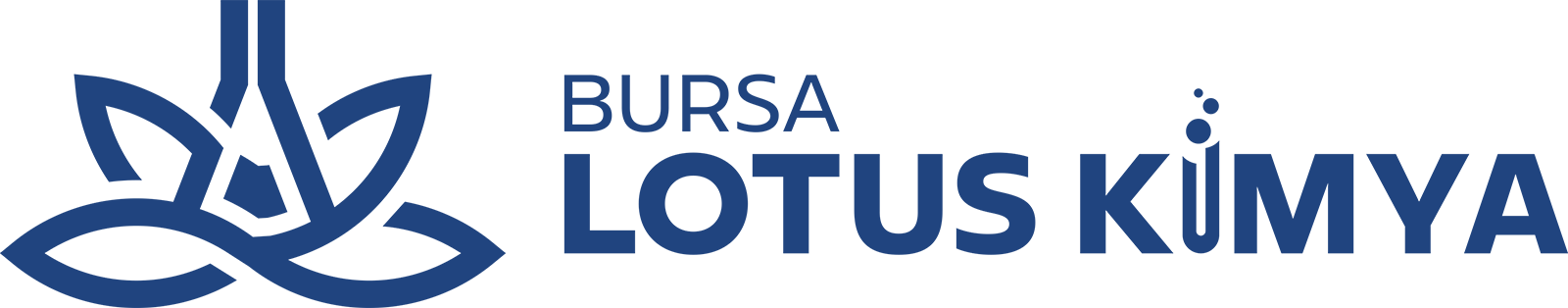 Bursa Lotus Kimya